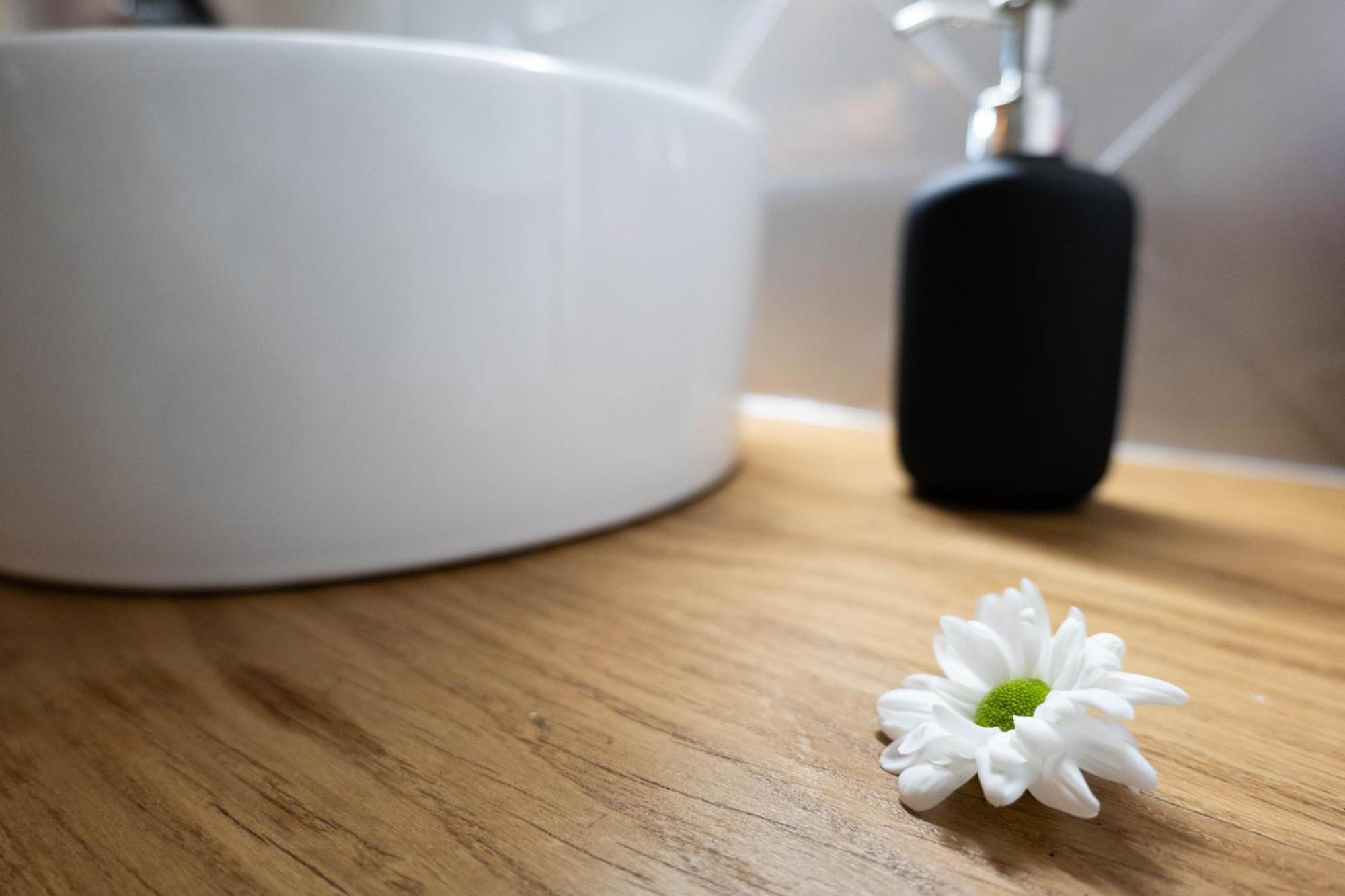 Niu De Queralt Apartment Вик Екстериор снимка
