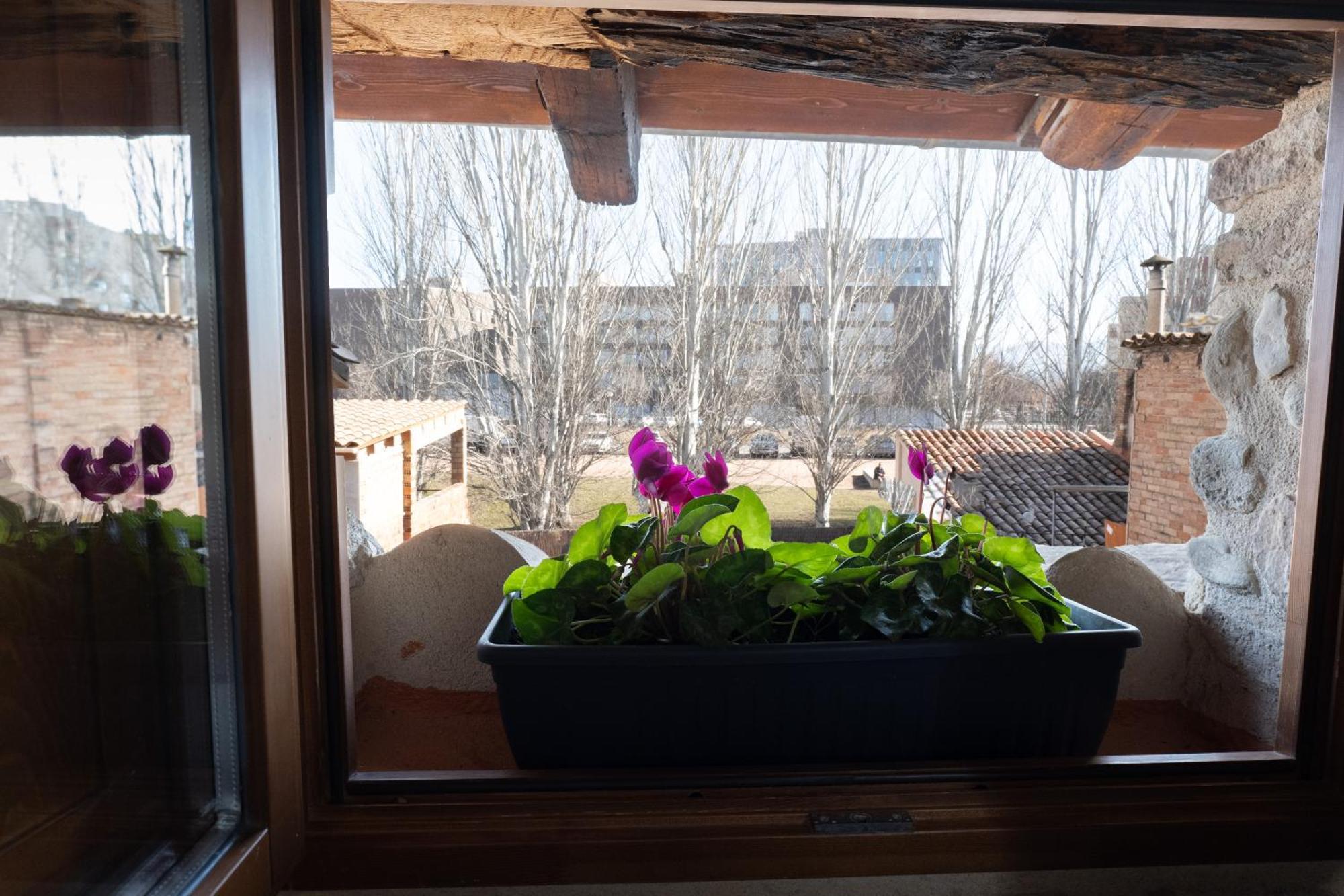 Niu De Queralt Apartment Вик Екстериор снимка